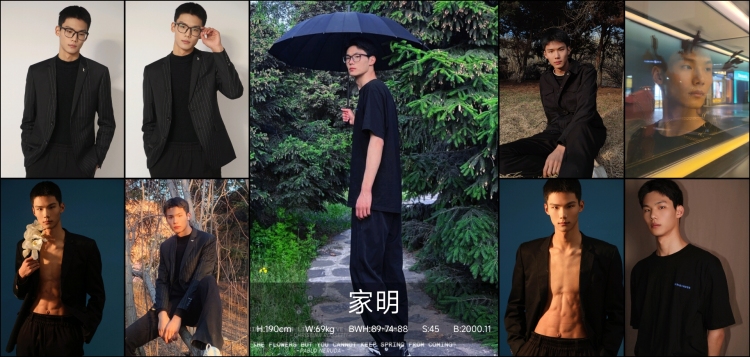将明的模卡